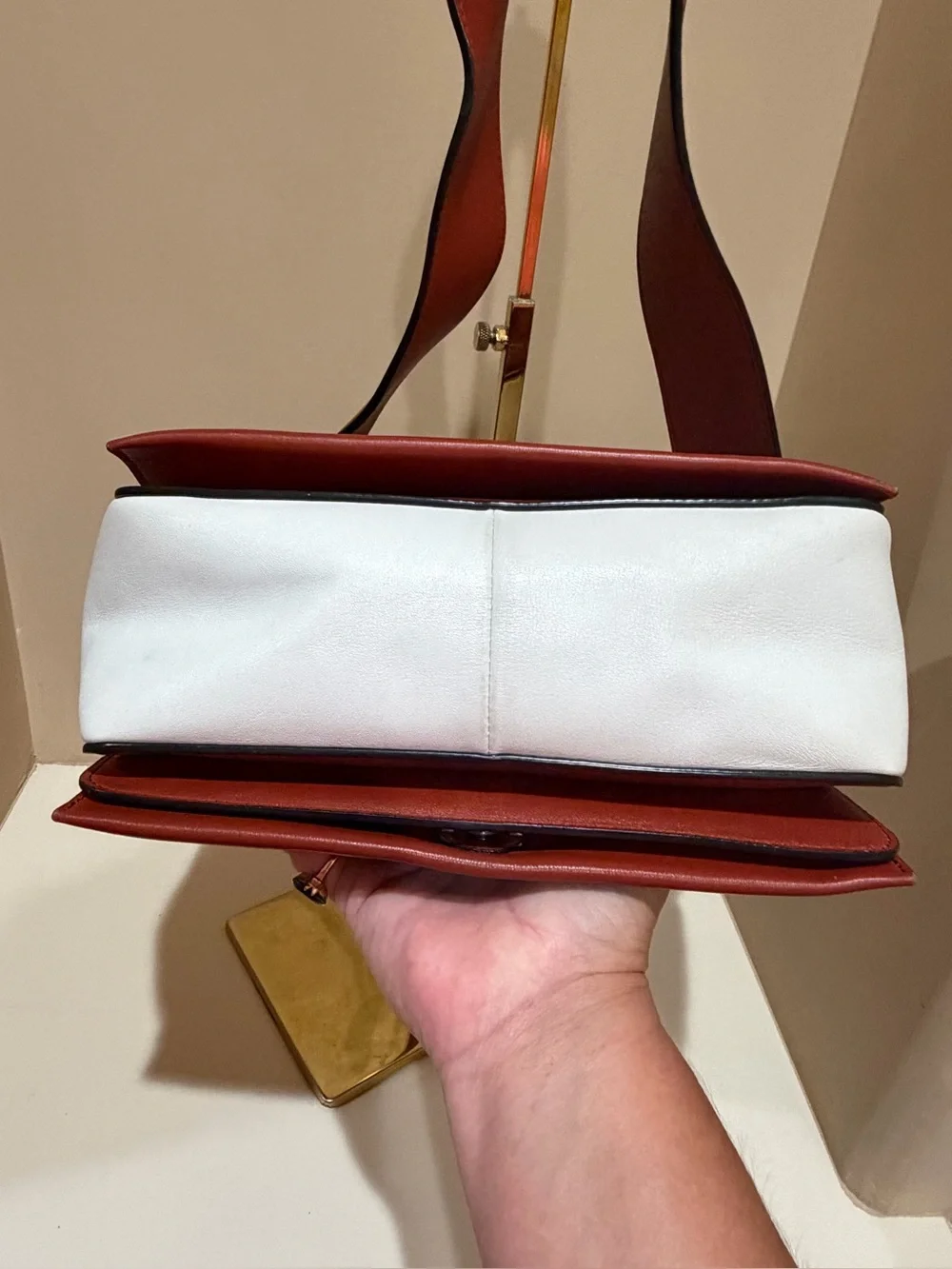 Celine Frame Calfskin Leather Shoulder Bag in Maple 🍁 & White